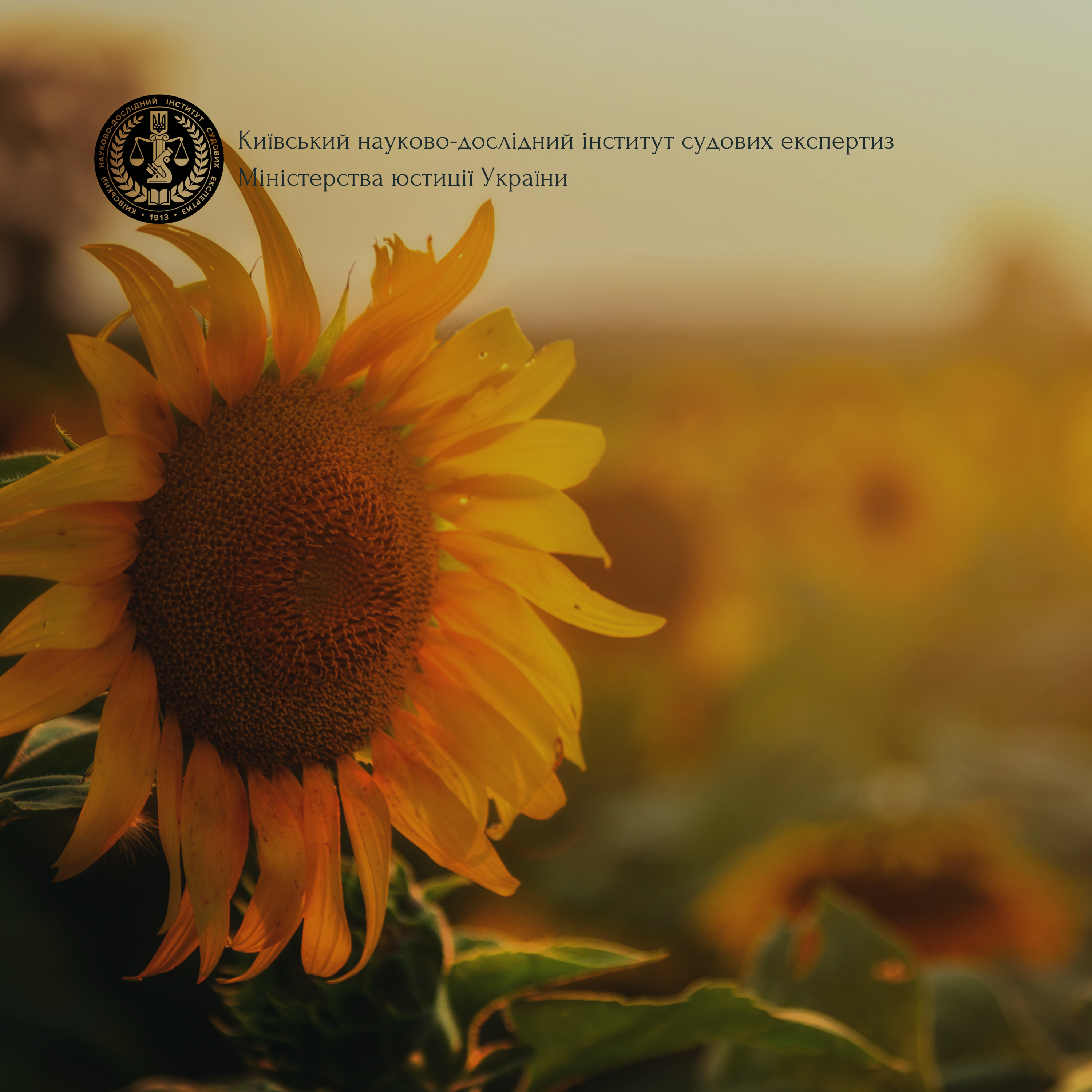Day of Remembrance of the Defenders of Ukraine
