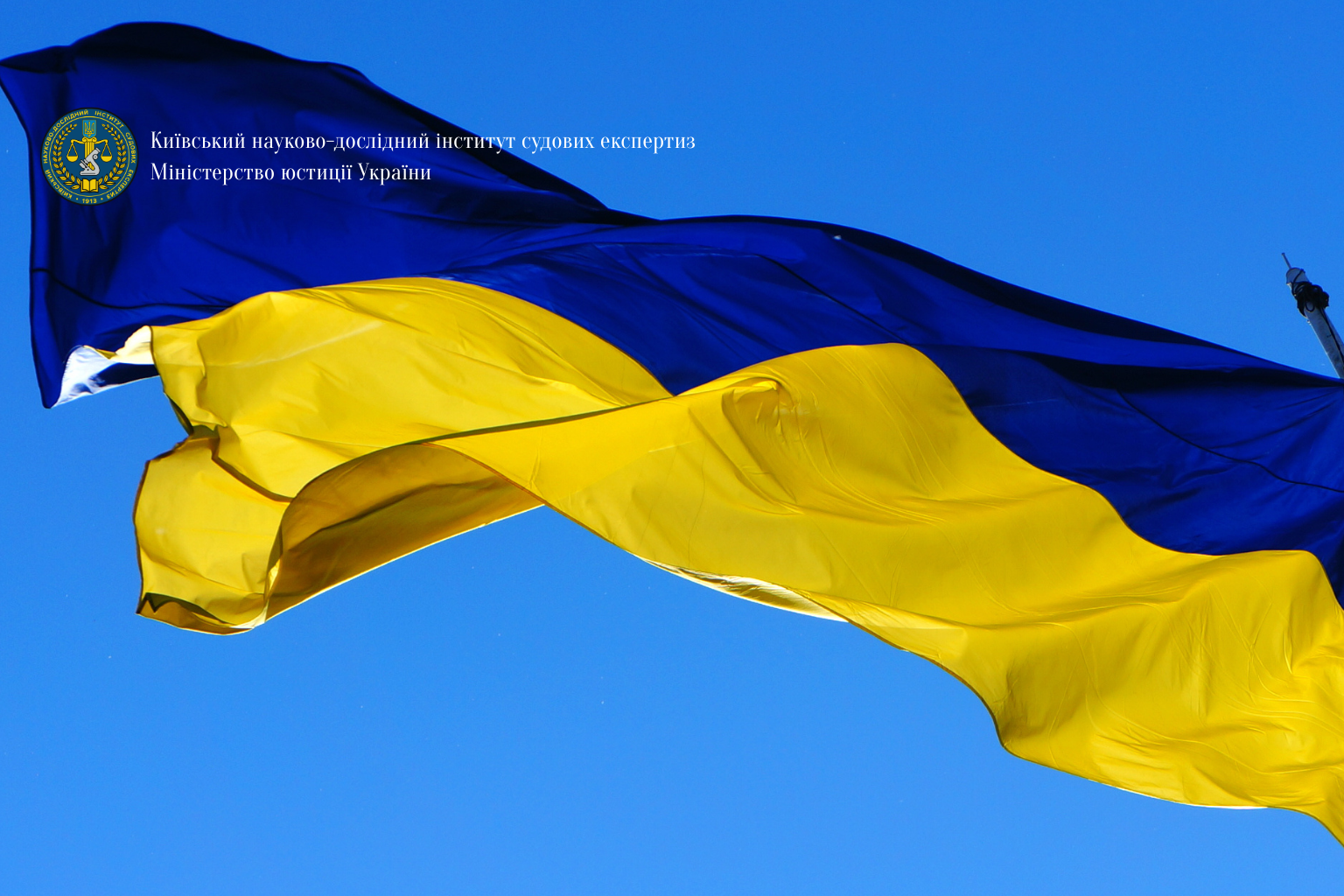 З Днем Державного Прапора України!